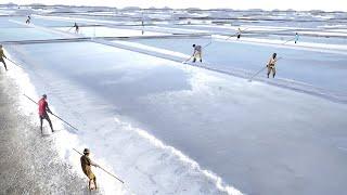 Incredible Way They Produce Millions of Tons of Salt by Hands