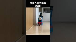 냥기차