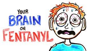 Your Brain On Fentanyl (FIXED)