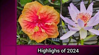 Highlights of 2024 - Beautiful Tropical Flowers!