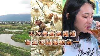 年代電視台【看見真台灣】洄瀾滴雞精-天然無毒滴雞精 衛生把關服務第一