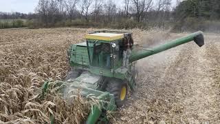 40 YEAR OLD COMBINE STILL HARVESTING???