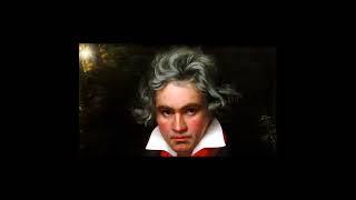 ROLL OVER BEETHOVEN - CHUCK BERRY - BEETHOVEN PORTRAIT #shorts