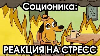 Соционика: как люди реагируют на экстремальные ситуации