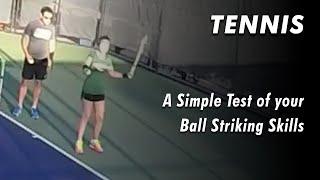 207 A Simple Test of the Ball Striking Skills.