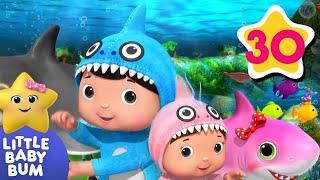 Baby Shark | Life at Sea | Kids Ocean Learning | Toddler Show | Little Baby Bum