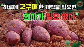 의사들이 싫어하는 고구마의 엄청난 효능 10가지 | SHARE 건강정보