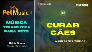 Música para Curar Cães | Mantra Terapêutico