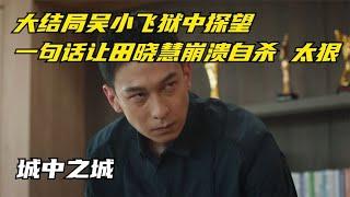 城中之城：大结局吴小飞狱中探望，一句话让田晓慧崩溃自杀，太狠