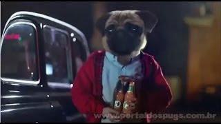 J2O - Comercial de TV - Propaganda com Pug