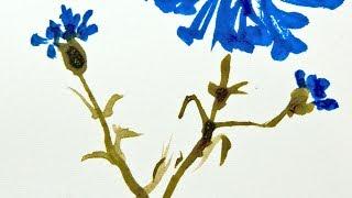 Watercolor - Hot Pressed Versus Cold Pressed Paper