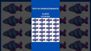 #Тест на внимательность, найди отличия