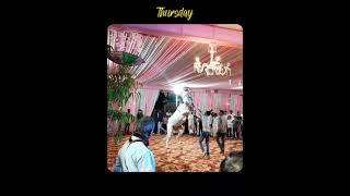 royal wedding off Rajputana Thi betarna ️ 25.04.25