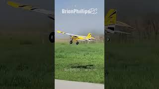 True Maiden - E-flite Super Timber #rc #aviation #rcplane