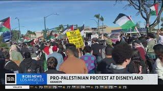 Pro-Palestine protest hits streets outside Disneyland