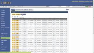 C-Zentrix Call Center Agents