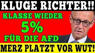 KLUGE RICHTER! AfD erneut 5% mehr - Merz bricht zusammen vor Wut!