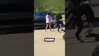 Инстинкт защиты глазами собак ️