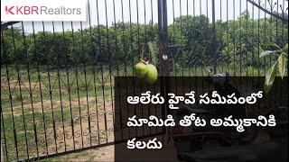 13 Acre Mango Farm Land for Sale | 6 Kilometers from Aler-Warangal Highway |#Landsforsale #Telangana