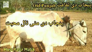 Old Life Styl Punjabi Farmers Punjabi Virsa Video Sohny Rang Punjab Day