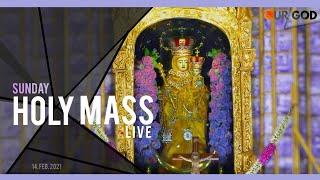 velankanni live mass today | velankanni live