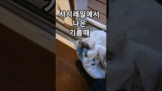 문이 뻑뻑하다고 뿌리면 이렇게 된다