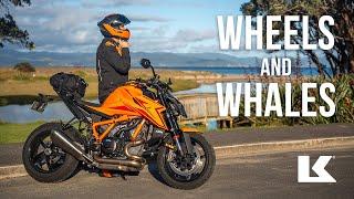 KRIEGA WHEELS & WHALES