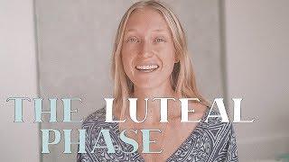 THE LUTEAL PHASE || Everything You Need to Know