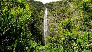 Waimoku Falls, Pipiwai Trail, Kīpahulu District, Haleakalā National Park, Maui, Hawaii - April 2022