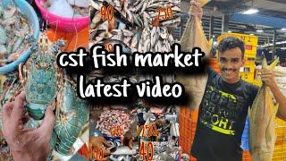 cst fish market latest video | fish market | wholesale fish market in mumbai