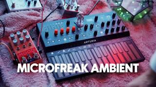 Arturia Microfreak + Chase Bliss MOOD | Ambient synth music with experimental delay pedals