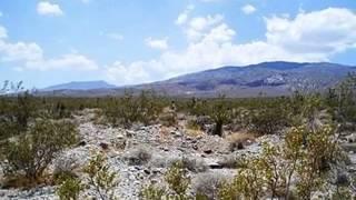 Homes for Sale - Donaldson Road, APN 0449-592-13 Lucerne Valley CA 92356 - Charlotte Welch