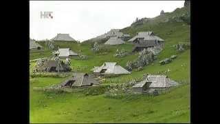 PASTIRI S KAMNIŠKIH ALPA