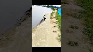 Ki rashta re bhai #azzu #vlog #azzuvlog #minivlog #mini #azzutechnical #shortvideo #shorts #short