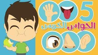 Learn the five senses in Arabic with Zakaria | The Five Senses in Arabic for Kids