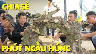 Phút ngẫu hứng chia sẻ kinh nghiệm | NamLe Bonsai