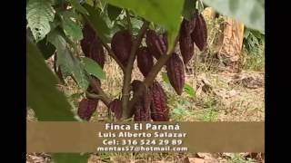 25 de julio de 2017 Finca El Paraná