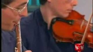 Albatros Ensamble