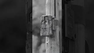 Connect Wireless Camera - Stealth Cam