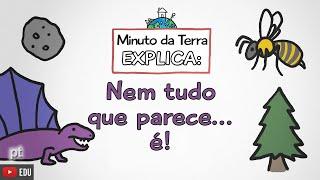 Minuto da Terra explica: NEM TUDO QUE PARECE... É!