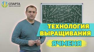 Технология выращивания ячменя. Сколько стоит обработка 100 га?