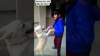 #wholetthedogout #like #subscribe