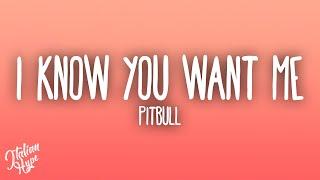 Pitbull - I Know You Want Me (Calle Ocho)