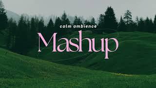 Dreamy Mashup | Slowed + Reverb | Deep Chill Vibes