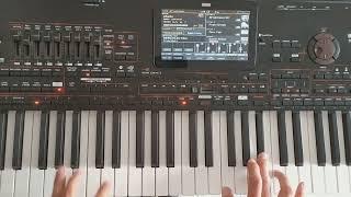 Music For Soul - Beauty New Korg Style Italo (Danekoo1 & Korg Pa4x )