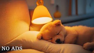 12 Hours of Calming Music for DogsMusic for Stressed DogsDog Separation Anxiety Music