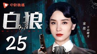 白狼 第25集（宋佳、邵兵、常戎、吕妍昕 领衔主演）