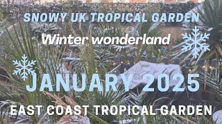 SNOWY Tropical Garden UK | Winter Wonderland | January 2025 UK Snow Coverage