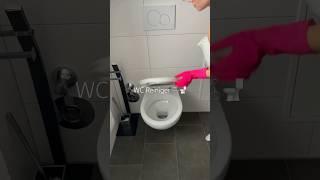 WC Putzen 🫧 #cleaningmotivation #putzmotivation #putzroutine