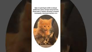 Кому рецептик «Маргариты»? https://t.me/topgosuperteam